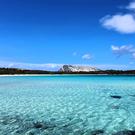 Floor Gulf View Lägenhet *