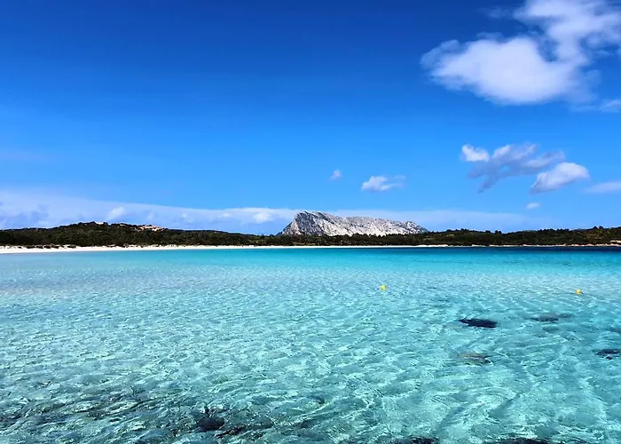 Olbia Seaview Loft Апартаменти *