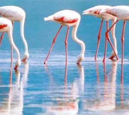 Seaview Loft Olbia