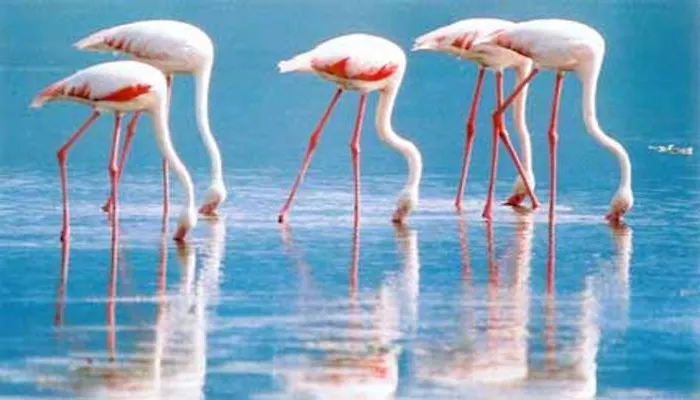 Olbia Seaview Loft Olbia